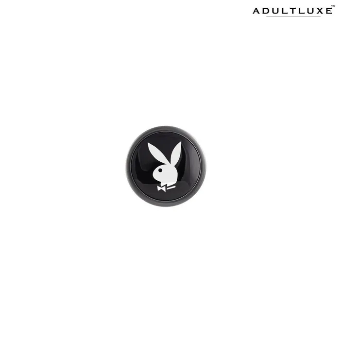 Evolved Novelties Anal Playboy Tux Small Metallic Glass Butt Plug