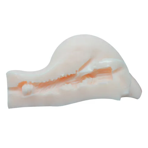 Male Sex Toys AotoWholesale China Everyday Sexy Piece Of Ass Masturbator