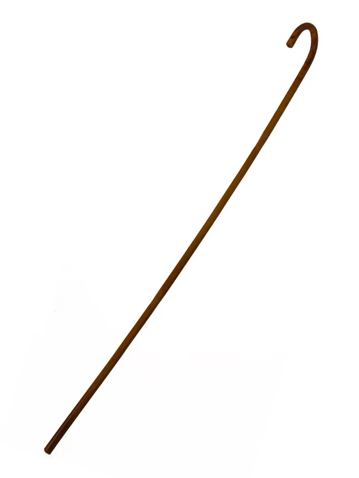 HonourSkintwocom Anal BDSM Traditional Bamboo 30 Inch Cane