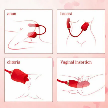 Acmejoy Multifunctional Vibrator Rose Clit Licking Vibrating Stimulator AcmeJoy Female Sex Toys