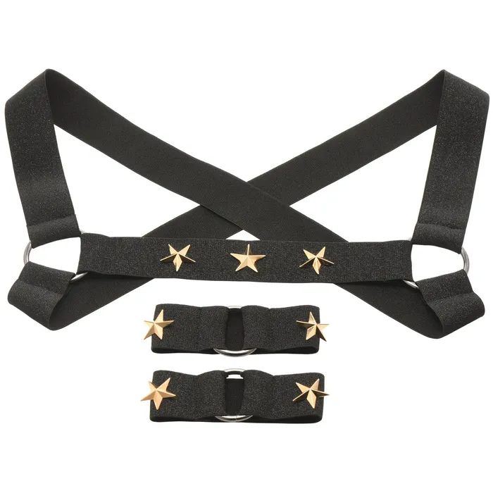 Female Sex Toys XR Brands Master Series Star Boy Male Chest Harness With Arm Bands Smallmedium Black Female Sex Toys XR Brands Master Series Star Boy Male Chest Harness With Arm Bands Smallmedium Black