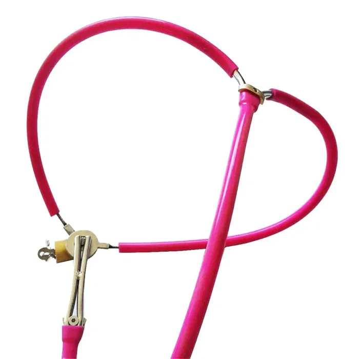Lovegasm GString Female Bondage Chastity Vagina Cage Belt Male Sex Toys