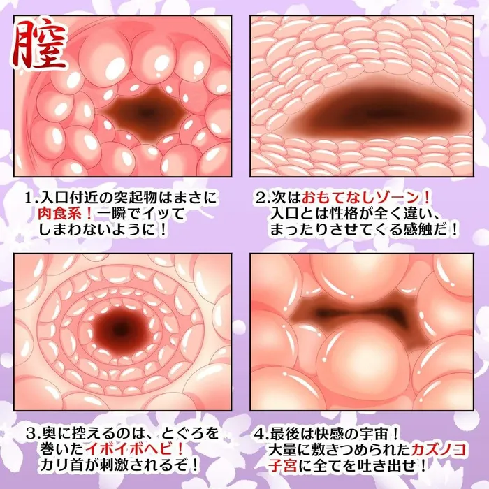 SSI Japan Real body Julia Doll 20kg Beige SSI Japan Male Sex Toys