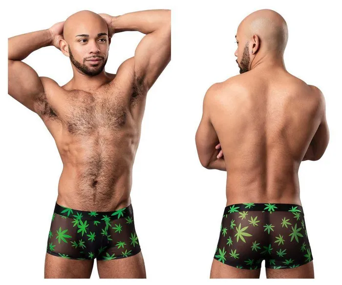 Vibrators Hazy Dayz Pouch Short Male Power