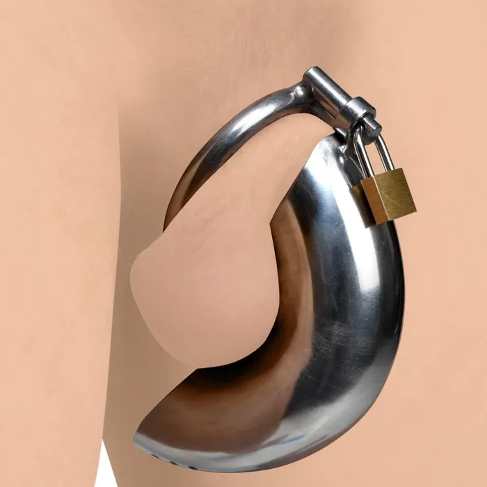 Master Series Male Sex Toys Locking Stainless Steel Chastity Cage w 3 Rings Master Series Male Sex Toys Locking Stainless Steel Chastity Cage w 3 Rings