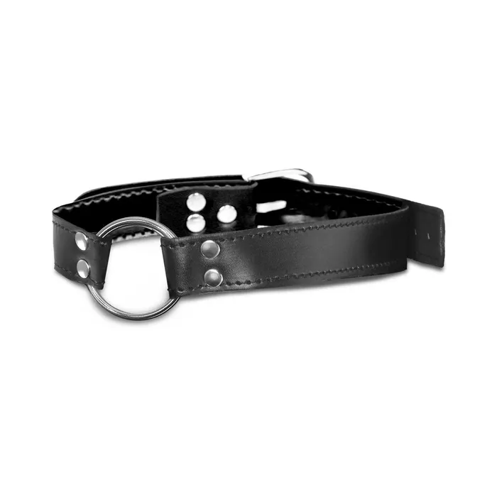 Pipedream Couples Fetish Fantasy Limited Edition Oring Gag