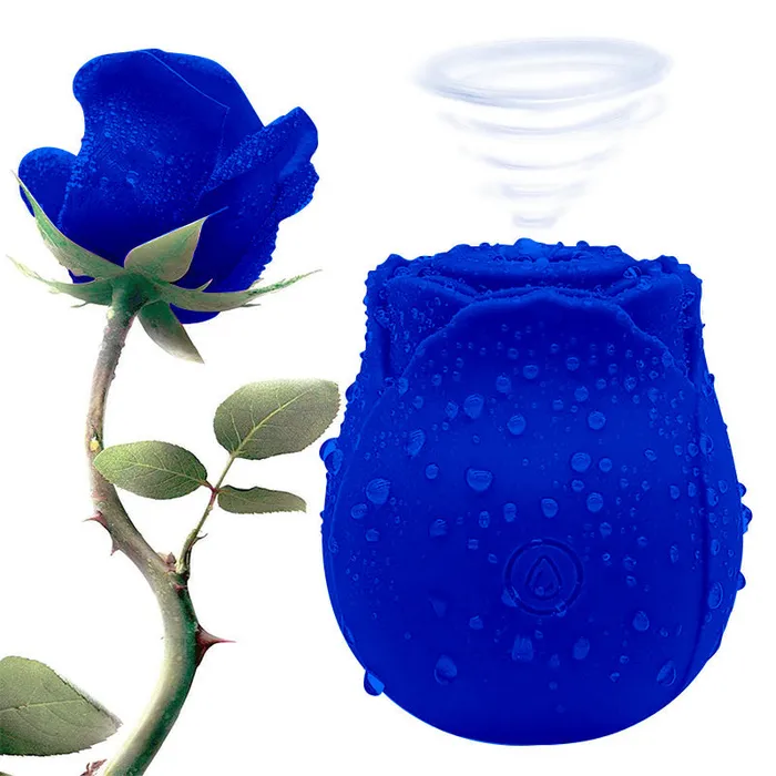 Earlypeach Vibrators Klein Blue Rose Toy For Women Sucking Vibrator
