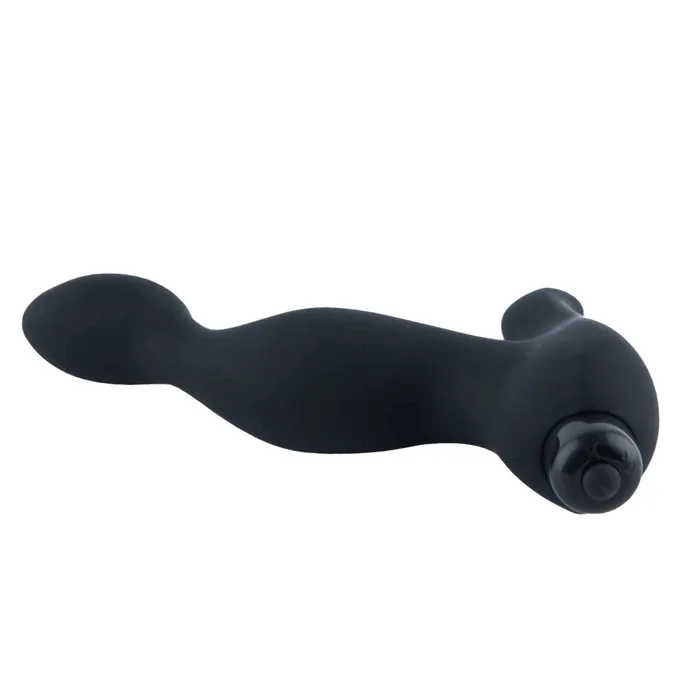 Flexible Sex Toy Anal Vibrating Prostate Massager Love Plugs Male Sex Toys