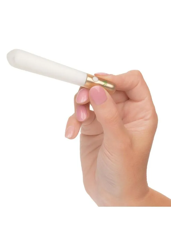Naughty Bits Smoke Show Rechargeable Silicone Mini Joint Vibrator Naughty Bits Female Sex Toys