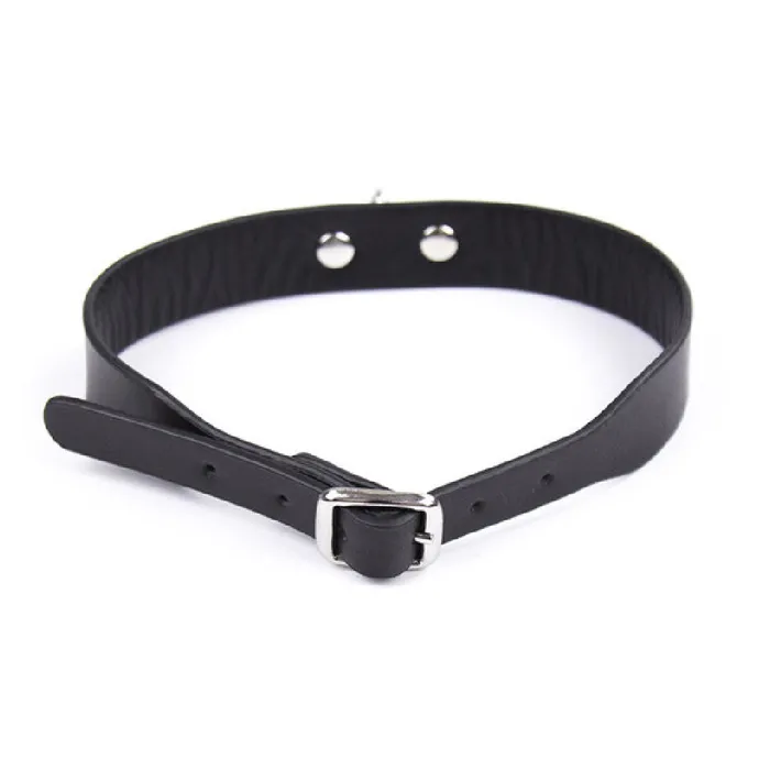 Rebels Hot Stuff Male Sub Collar Love Plugs Male Sex Toys Rebels Hot Stuff Male Sub Collar Love Plugs Male Sex Toys