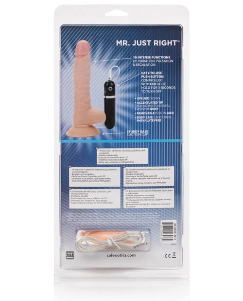 Vibrators Mr Just Right Elite Eight Open Desires