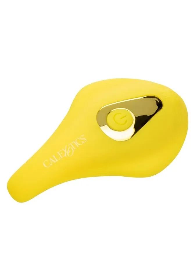 Neon Vibes Female Sex Toys Neon Vibes The Secret Vibe Rechargeable Silicone Vibrator with Remote Control
