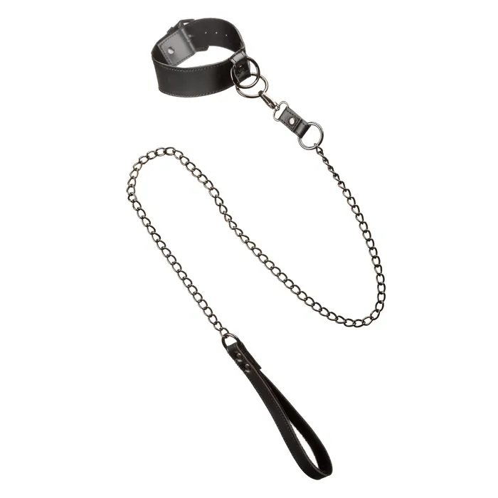 2024 Holiday Sale Specials Anal Euphoria Collection Collar With Chain Leash Black 2024 Holiday Sale Specials Anal Euphoria Collection Collar With Chain Leash Black