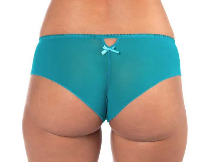 Sunset Intimates Vibrators Amour Panties in Blue